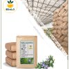 گیاه رزماری خشک فله