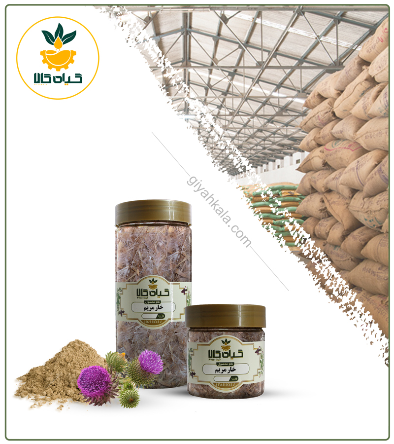 گیاه خار مریم خشک یا پودری بسته بندی