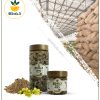گیاه خرگوشک خشک یا پودری بسته بندی گیاه خرگوشک خشک یا پودری بسته بندی