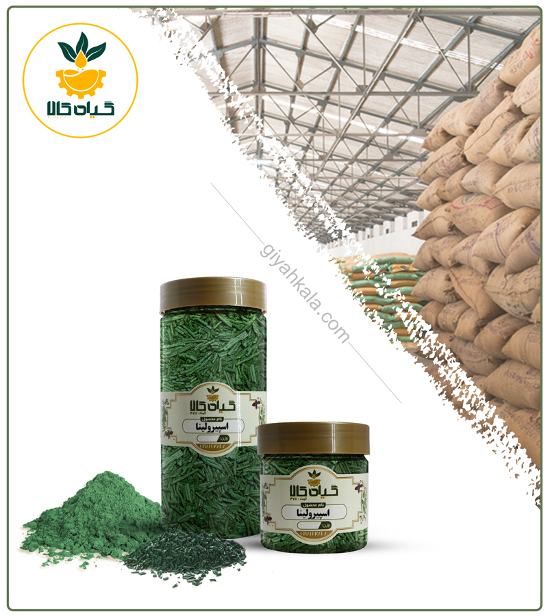 گیاه اسپیرولینا خشک یا پودری بسته بندی