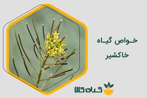 خواص خاکشیر