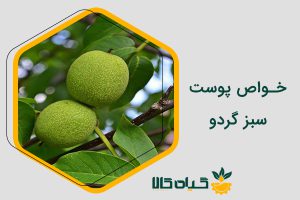 خواص پوست سبز گردو