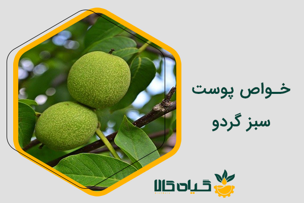 خواص پوست سبز گردو