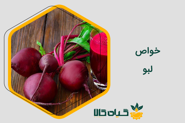 فواید و خواص لبو - [کامل ترین مقاله + آپدیت 1402]