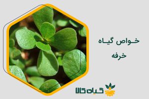 خواص خرفه