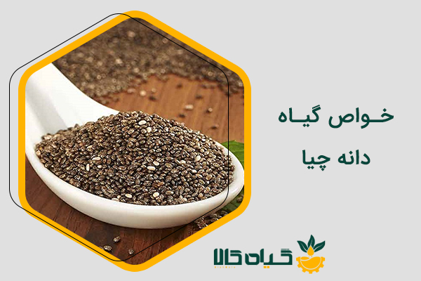 فواید و خواص دانه چیا - [کامل ترین مقاله + آپدیت 1402]