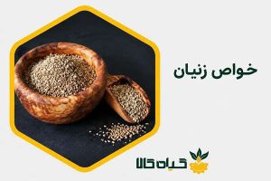 خواص زنیان