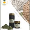 چای سبز ایرانی باروتی خشک یا پودری