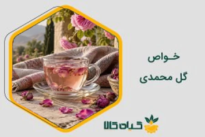 خواص گل محمدی