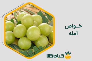 خواص آمله