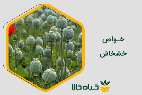 خواص خشخاش