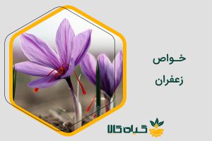خواص زعفران