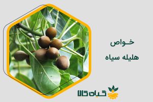 خواص هلیله سیاه