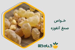 خواص صمغ آنغوزه