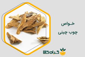 خواص چوب چینی
