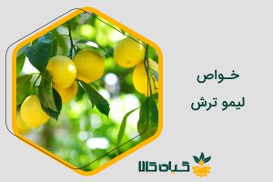 خواص لیمو ترش