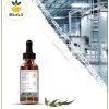 طعم دهنده اکالیپتوس دارویی بسته بندی طعم دهنده اکالیپتوس دارویی بسته بندی