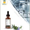 طعم دهنده رزماری دارویی بسته بندی طعم دهنده رزماری دارویی بسته بندی