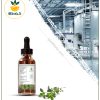 طعم دهنده کاکوتی دارویی بسته بندی طعم دهنده کاکوتی دارویی بسته بندی