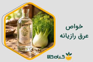 خواص عرق رازیانه