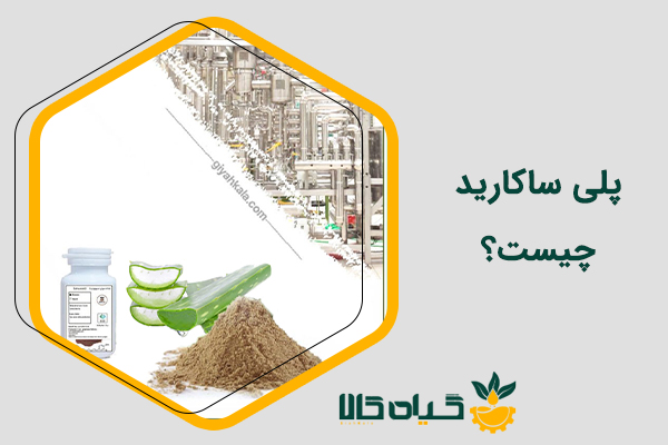 پلی ساکارید چیست؟