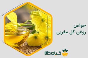 خواص روغن گل مغربی