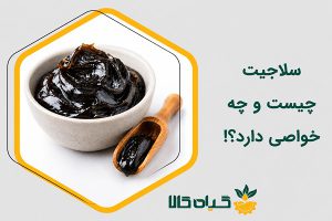 سلاجیت چیست؟