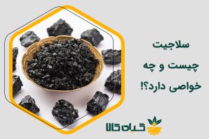 سلاجیت چیست