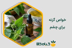 خواص گزنه برای چشم