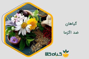 گیاهان ضد اگزما