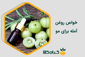 خواص روغن آمله برای مو
