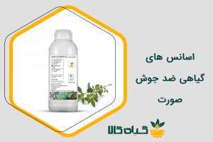 اسانس های گیاهی ضد جوش صورت