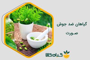 گیاهان ضد جوش صورت