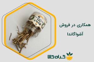 همکاری در فروش آشواگاندا