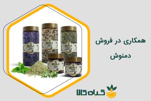 همکاری در فروش دمنوش