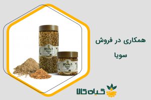 همکاری در فروش سویا