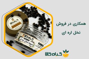 همکاری در فروش نخل اره ای