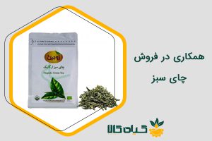 همکاری در فروش چای سبز