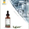 اسانس اکالیپتوس مخصوص آروماتراپی و یوگا اسانس اکالیپتوس مخصوص آروماتراپی و یوگا