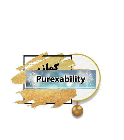 برند آماده غذایی