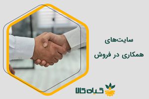سایت‌های همکاری در فروش