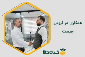 همکاری در فروش چیست