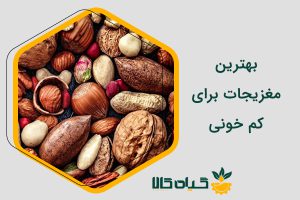 بهترین مغزیجات برای کم خونی