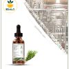 اسانس رزماری طبیعی بسته بندی اسانس رزماری طبیعی بسته بندی
