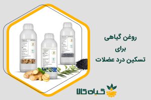 بهترین روغن گیاهی برای تسکین درد عضلات