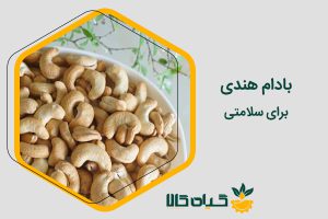 خواص بادام هندی