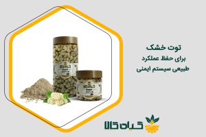 خواص توت خشک