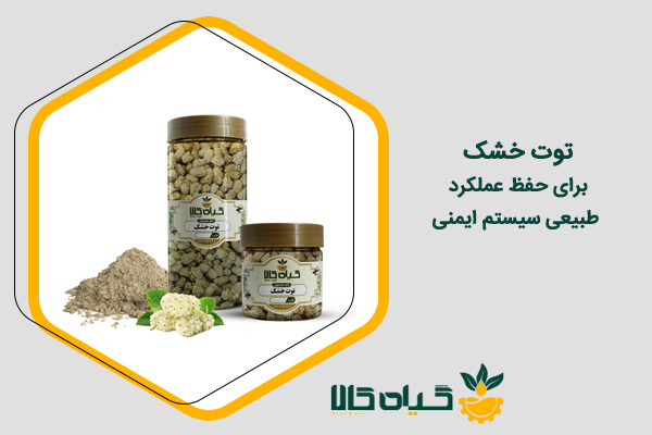 خواص توت خشک