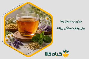 بهترین دمنوش برای رفع خستگی