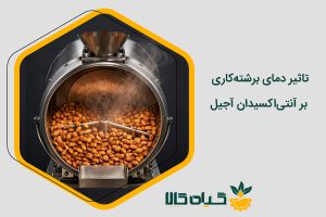 تاثیر دمای برشته‌کاری بر آنتی‌اکسیدان آجیل